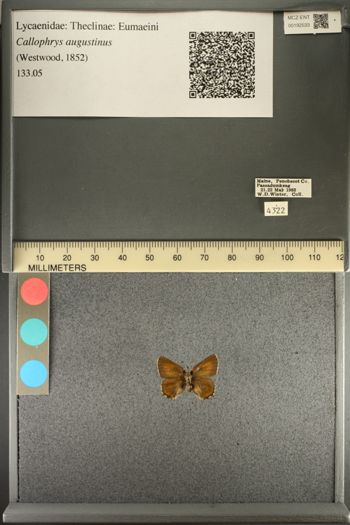 Media type: image;   Entomology 192533